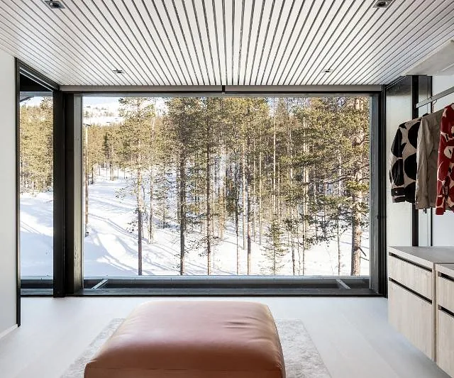 Modern room with forest view